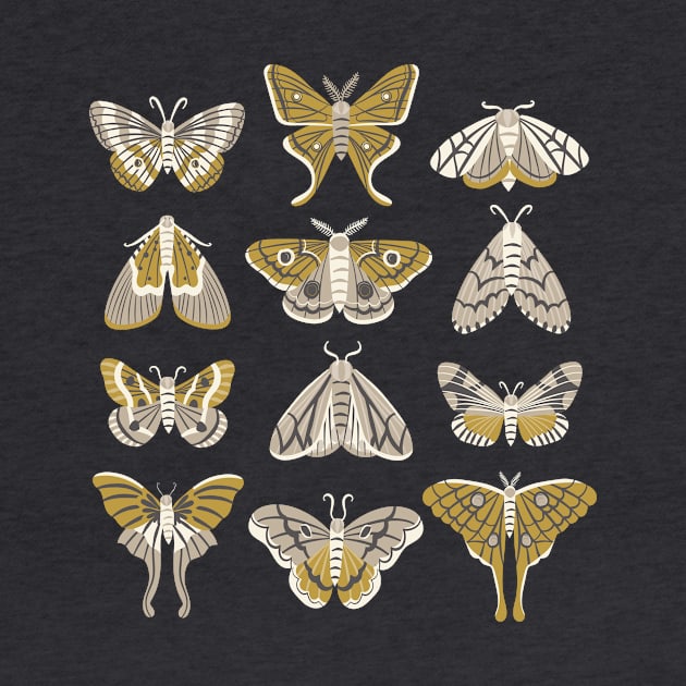 Moths by allisonromerodesign